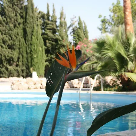 Mariposa Libre Luxury tent *